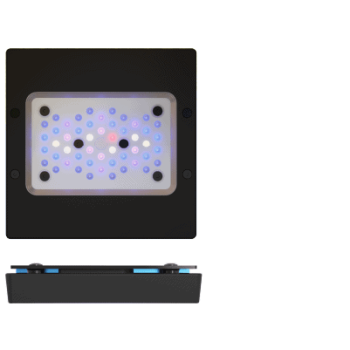 Radion G6 LED Lighting Pro Radion G6 LED Lighting Pro